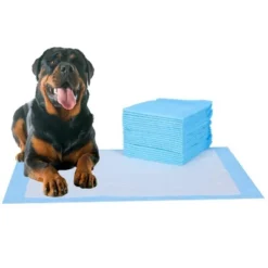 Itopfox 20 Pcs Pee Pads, Blue, 6-Layer, Ultra Absorbent, Leak-Proof, Quick-Dry, Suitable For Dogs, Cats, Rabbits, Chinchillas, And Other Pets -Kitchen Chef GUEST 28205407 c250 4ca9 a7a1 a5fbc3bf0658