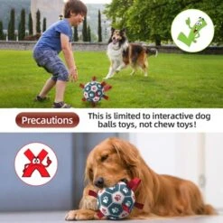 Itopfox Premium Dog Balls Toys, Pet Training Soccer Ball With Straps, Puppy Birthday Gifts, Dog Water Toy, Durable Herding Balls For Small Medium Dog -Kitchen Chef GUEST 2e150a3c c452 4cc1 b68d 59cd1f9cfd98