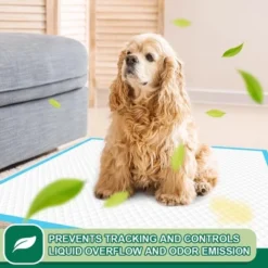 Itopfox 100 Count Leak-Proof & Super Absorbent Dog Training Pads | Disposable Potty Pads For Puppies, Dogs, Cats & Rabbits | Quick-Dry & Odor Control -Kitchen Chef GUEST 4b1f5184 a459 49e9 a5ab f0e5c7a6e354