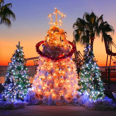 Itopfox Clear Christmas Lights Set With 100 Warm White Mini Bulbs For Indoor Christmas Tree, Garland, Wedding, Party, Festival Decoration 3 Itopfox Clear Christmas Lights Set With 100 Warm White Mini Bulbs For Indoor Christmas Tree, Garland, Wedding, Party, Festival Decoration