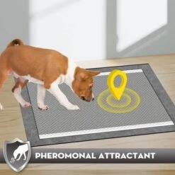 Itopfox Charcoal Pet Pee Pads With Odor-Control & Super Absorbent Up To 10 Cups, 6-Layer Quick Dry & Leak-Proof With Adhesive Tabs, Disposable -Kitchen Chef GUEST 951fc6a2 dca3 4f16 93fc f857f82c46e7