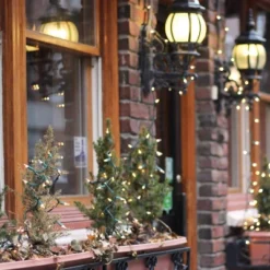 Itopfox Clear Christmas String Lights 100 Count Incandescent Mini Lights For Indoor Xmas Tree Garland Birthday Wedding Party Festival Decoration -Kitchen Chef GUEST a27fefc9 38d6 4aa7 98c8 a6dd85b3a92e