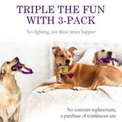Itopfox Tough Dog Toys For Aggressive Chewers 3 Pack, Indestructible Dog Toy For Large Dogs, Bacon Flavored, Keeps Dogs Busy -Kitchen Chef GUEST aaa7fa57 b972 49b0 a7cb c06a45f93432