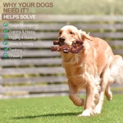 Itopfox Indestructible Dog Chew Toy For Aggressive Chewers, Extreme Tough Bone For Large Dogs, Real Beef Flavored, Long Lasting Chew Toy For Medium -Kitchen Chef GUEST b50cab36 a73f 4231 99a0 d4a518542d8d