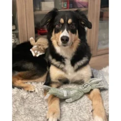 Itopfox No Stuffing Squeaky Crinkle Plush Dog Toys For Aggressive Chewers, Puppy Teething Toys For Small, Medium, Large Breed, Cute Bunny & Redfox -Kitchen Chef GUEST ccf6252a 7931 4b81 9202 edc2e7bda28b