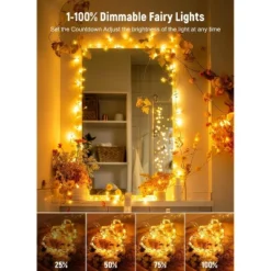 Itopfox Twinkle Fairy Lights With Remote And Timer, 100 LED USB Plug In String Lights, Waterproof 8 Modes For Bedroom Indoor Wreath DIY Party Wedding -Kitchen Chef GUEST e41a61bc 20d8 4969 bb8b 3a21043eab7f
