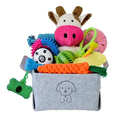 Itopfox 20Pcs Puppy Chew Toys For Teething, Dog Toys With Rope, Toothbrush, Treat Balls, Plush & Squeaky Toys For Small Medium Dogs 8 Itopfox 20Pcs Puppy Chew Toys For Teething, Dog Toys With Rope, Toothbrush, Treat Balls, Plush & Squeaky Toys For Small Medium Dogs - Image 6