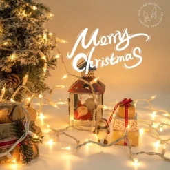 Itopfox 2-Pack 50-Count Clear Christmas Lights With White Wire, Warm White Mini String Lights For Holiday, Xmas Tree, Party, Wedding, Decorations